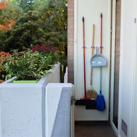 Picci House Daire Noale