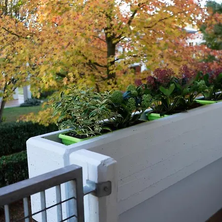 Picci House Appartement