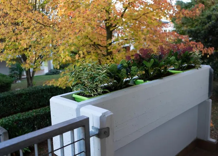 Picci House Apartman